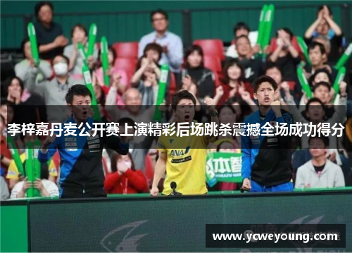 李梓嘉丹麦公开赛上演精彩后场跳杀震撼全场成功得分