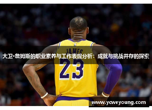 大卫·詹姆斯的职业素养与工作表现分析：成就与挑战并存的探索