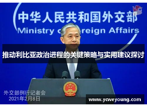 推动利比亚政治进程的关键策略与实用建议探讨