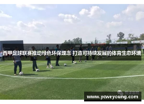 西甲足球联赛推动绿色环保理念 打造可持续发展的体育生态环境 西甲足球联赛推动绿色环保理念 打造可持续发展的体育生态环境
